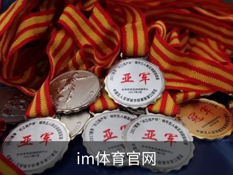 im体育官网概况
